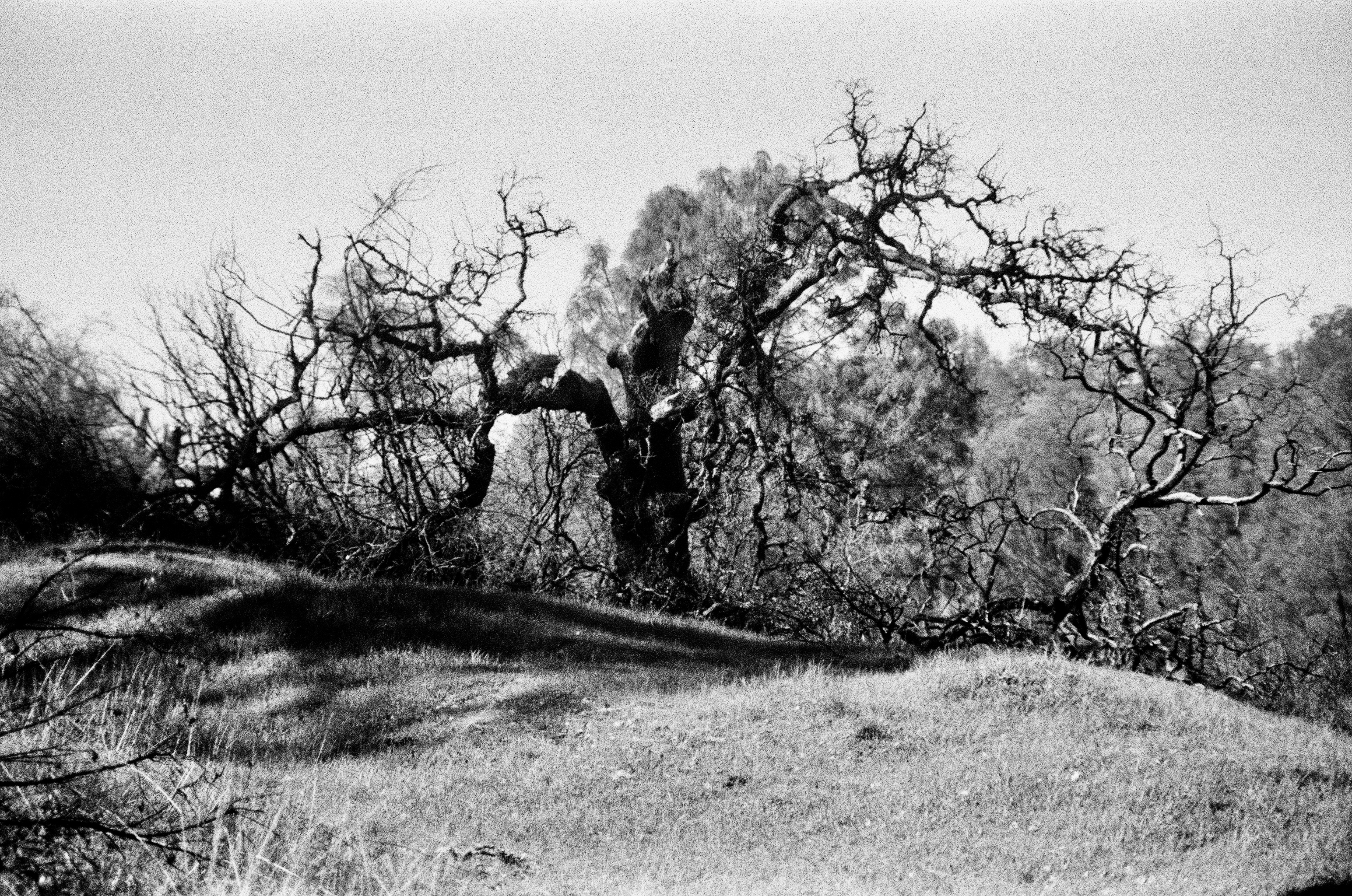 Pope Valley